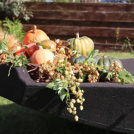 Am Nahkegraben Hébergement de vacances Burg (Spreewald)