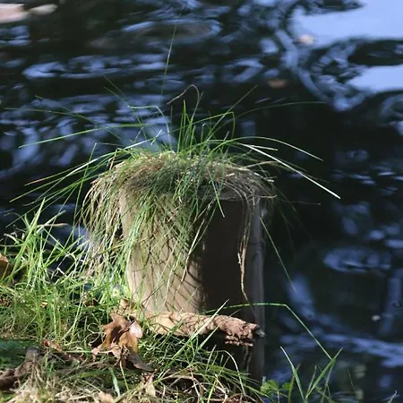 Hébergement de vacances Am Nahkegraben Burg (Spreewald)