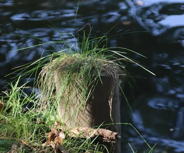 Casa de Férias Am Nahkegraben Burg (Spreewald)